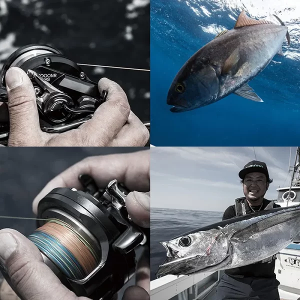Máy Câu Shimano Ocea Jigger F Custom 2019 - Hình ảnh 4