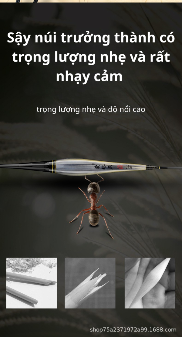​PHAO SẬY SIÊU NHẠY MONTANI CAO CẤP - ĐỈNH CAO CỦA SỰ NHẠY BÉN CÂU CÁ - Hình ảnh 4