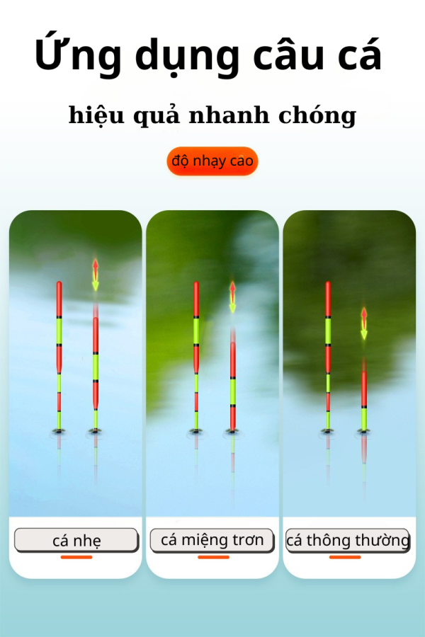 PHAO TIỂU PHƯỢNG HOÀNG CAO CẤP - Hình ảnh 11