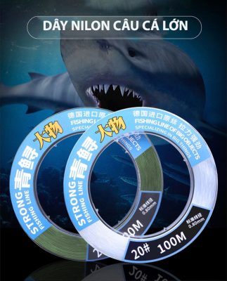 Dây câu & Phụ kiện