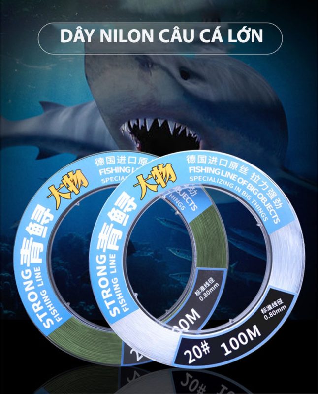 Dây câu & Phụ kiện