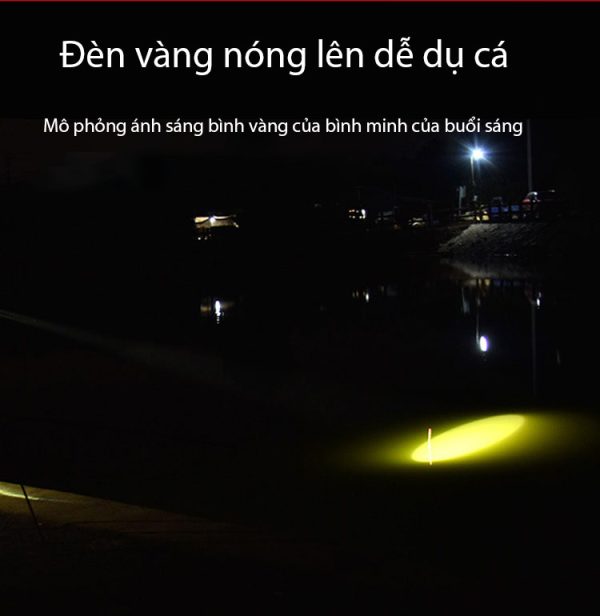 Bộ Đèn Soi Phao Câu Đêm - Hình ảnh 5
