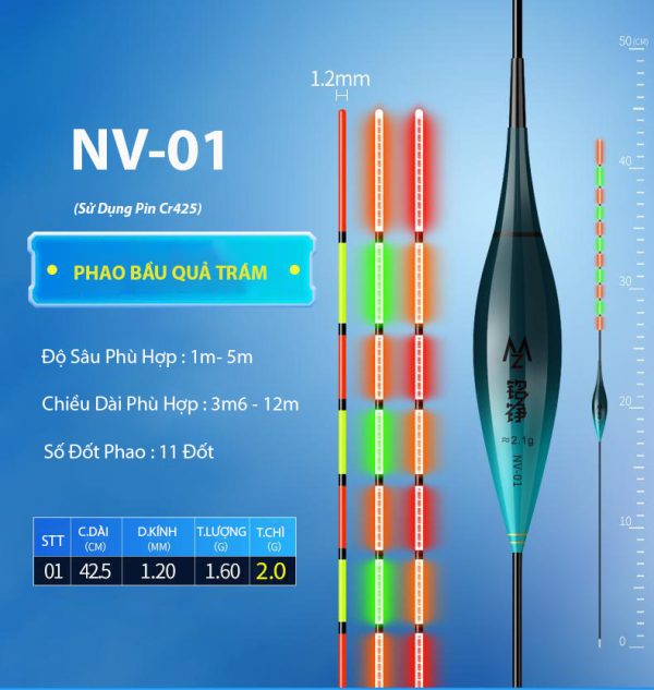 Phao Cảm Biến Bầu Quả Trám - Ảnh 2