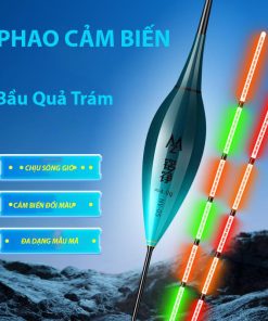 Phao Cảm Biến Bầu Quả Trám
