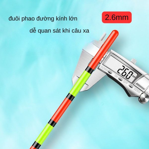 Phao Câu Cá Chép Đuôi Lớn - Ảnh 3