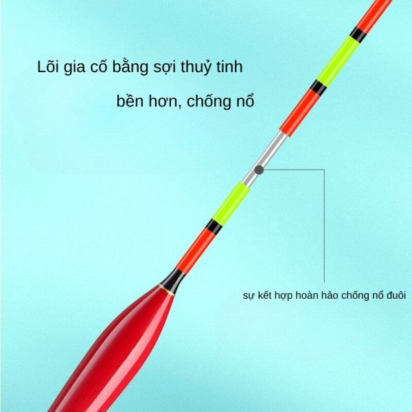 Phao Câu Cá Chép Đuôi Lớn - Ảnh 5