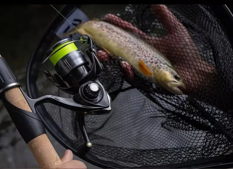 MÁY CÂU ĐỨNG DAIWA CROSSFIRE LT 2026 - Ảnh 39